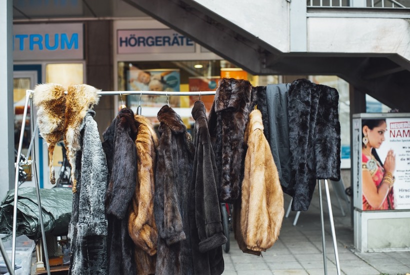 Zwischen Ethik und Nachhaltigkeit: Darf ich Secondhand-Pelz tragen?