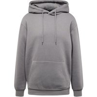 Sweatshirt 'Dian Hoodie' von ABOUT YOU