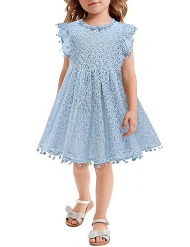 AGQT Baby Mädchen Kleid Hohl Spitze Kleider Flaum Ruffle Ärmel Blumenmädchen Prinzessin Sommerkleid für Kleinkind Kinder Größe 12-18 Monate von AGQT