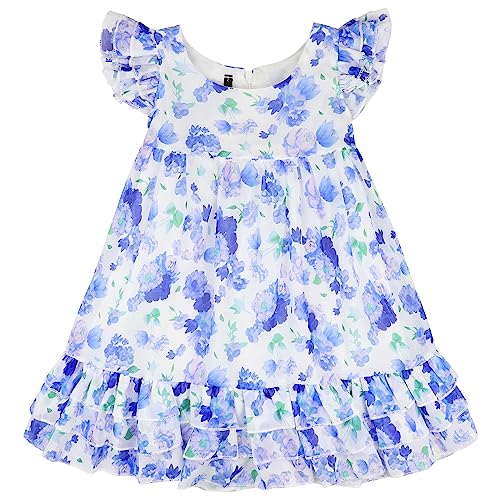 AGQT Baby Mädchen Sommerkleid Elegant Floral Prinzessin Kleid Rüschen Ärmel Kinder Layered A Linie Freizeitkleid Festlich Hochzeit Abendkleid Blau Blume Größe 1-2 Jahre von AGQT