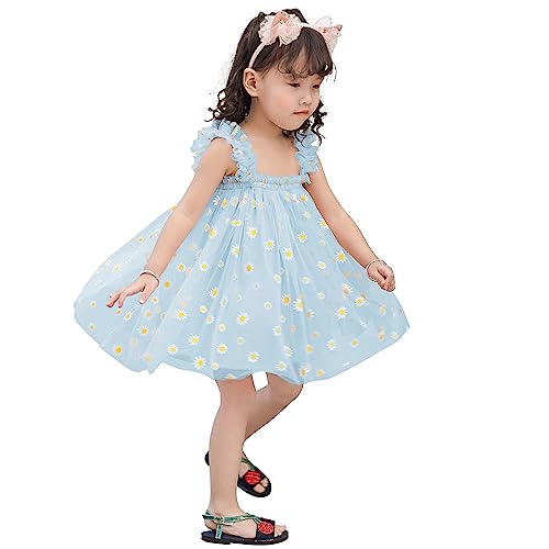 AGQT Baby Mädchen Tüll Kleid,Kleinkind Partykleid Ärmelloses Tutu Geburtstag Kleid Hellblau Gänseblümchen-Spitze Blumenmädchen Kleid,Größe 18-24 Monate von AGQT