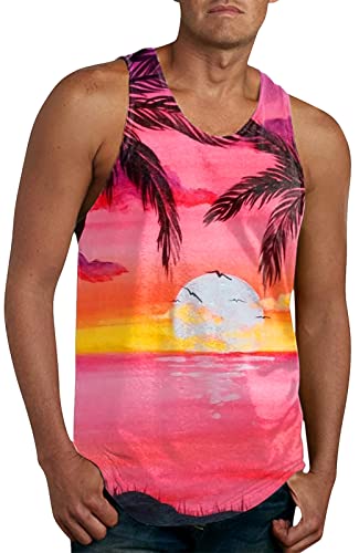 AIEOE Tank Top Herren Sommer Hawaii T-Shirt Ärmellos Muskelshirt Strand Tankshirt 3D Druck Print Muster Tanktop Locker Schnell Trocknend Atmungsaktiv - XL von AIEOE