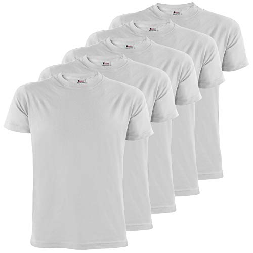 ALPIDEX Herren T-Shirts 5er Set Rundhals einfarbig S M L XL XXL 3XL 4XL 5XL, Größe:4XL, Farbe:Cloud von ALPIDEX