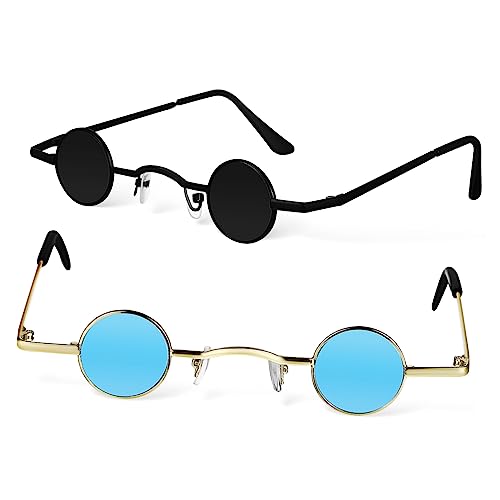 ANDRESLAD 2 Stück Kleine Runde Polarisierte Sonnenbrille Unisex Sonnenbrille Retro Kreis Sonnenbrille Punk Sonnenbrille Runde Sonnenbrille Runde Linse Sonnenbrille Damen von ANDRESLAD