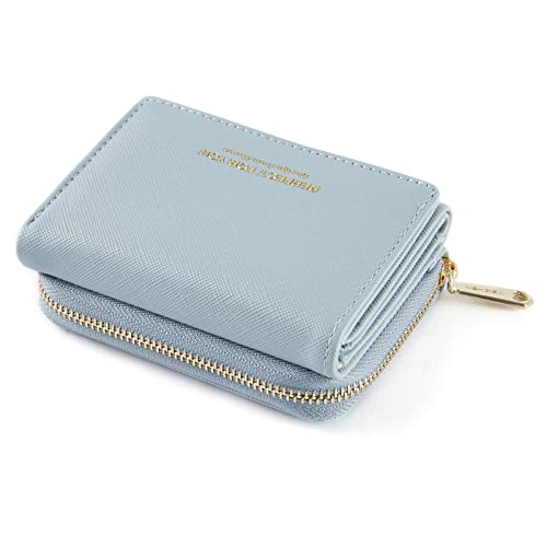 ANYWN Geldbörse Damen klein, Geldbeutel Damen klein, kleines Portemonnaie Damen, Geldtasche klein Damen mit Große Kapazität, Elegante und Süße Damen Geldbeutel mit Großes Münzfach HellBlau von ANYWN