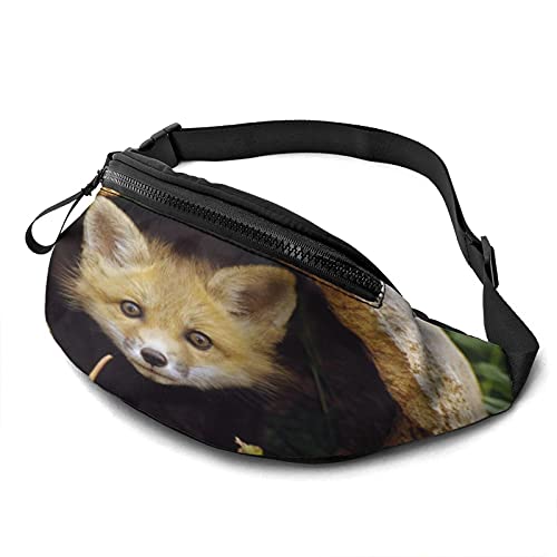 Niedlicher Kleiner Fuchs Bauchtasche für Damen Herren Mode Gürteltasche Hüfttasche mit verstellbarem Gürtel für Reisen im Freien Sport Laufen von AOOEDM