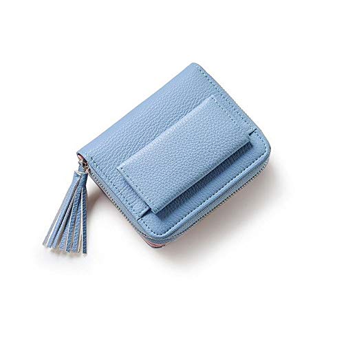 AQQWWER Geldbörsen für Damen Frauen Kleine Mappen Short Geld Wallets Leder Lady Zipper Geldbörsen Mode-Kartenhalter (Color : Blue) von AQQWWER