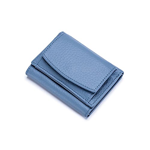 AQQWWER Geldbörsen für Damen Frauen Leder Brieftasche Kleine Leder Münze Geldbörse Karten Fall Große Geldtasche Tragbare Kupplung (Color : Blue) von AQQWWER