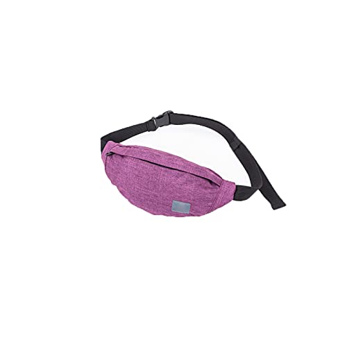 AQQWWER Hüfttasche Taillenpackungen, männliche Casual Funktionelle Fanny Bag Taille Tasche Geld Telefon Gürtel Tasche (Color : Purple) von AQQWWER