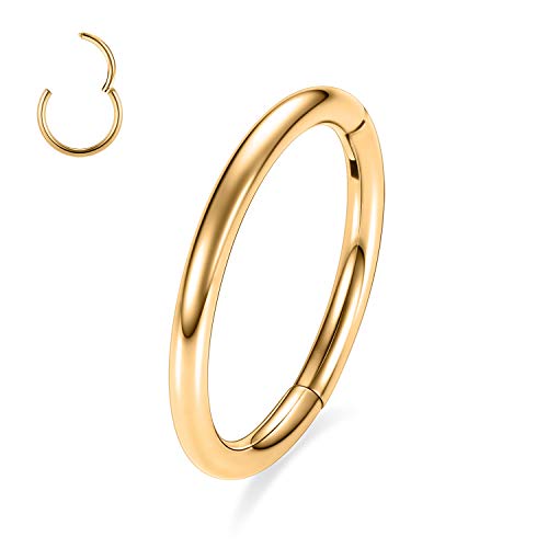 12g Knorpelohrring Hoop 16mm Helix Ohrring G23 Titanium Hoop Ohrringe für Frauen Nasenringe Hoop Nasenring 12 Gauge Nase Hoop Conch Ohrringe Helix Ohrring Lippenringe Nasenpiercing Schmuck Gold von AROWRO