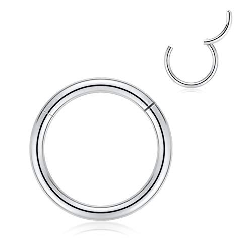 AROWRO 14 mm Creolen für Frauen Männer dick versilbert Piercingringe 6 Gauge Septum Nasenringe Hoop 6G Septum Schmuck 316L Chirurgenstahl Scharnier Clicker Bull Nose Hoop von AROWRO