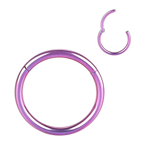 AROWRO 10 mm Knorpelohrring Nasenringe 16 Gauge Nasenring Muschelohrringe für Frauen 16 g Nasenring Septum Schmuck Chirurgenstahl Septumring Septum Clicker Lippenringe Helixohrring Lila Nippelringe von AROWRO