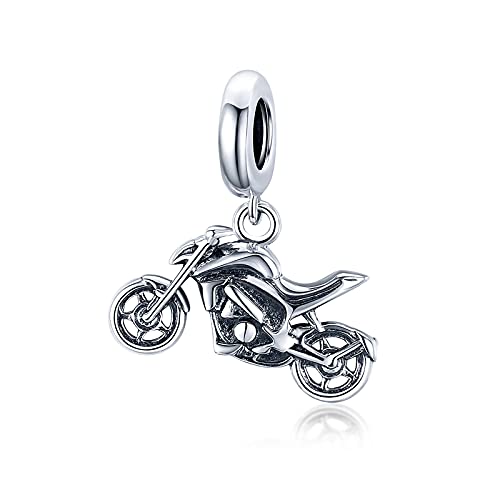 AUHOAZ 925 Sterling Silber Charm Bead für Pandora Chamilia und Europäische Armbänder und Halsketten von AUHOAZ