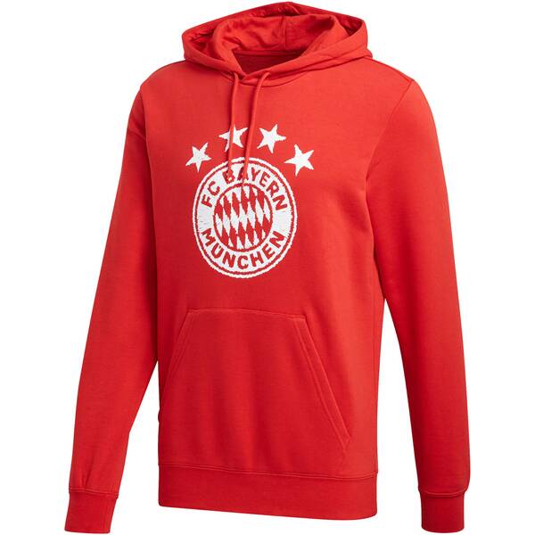 ADIDAS Replicas - Sweatshirts - National FC Bayern München DNA Graphic Hoody von Adidas