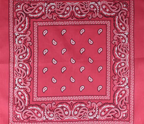 Alsino - Unisex Paisley Biker Schal ca. 54 x 54 cm Einheitsgröße für alle, Farbe wählen:pink rosa Paisley von Alsino