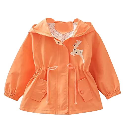 Amur Leopard Kinder Mädchen Übergangsjacke Winddichte Mantel Outdoor Windjacke mit Kapuze für Frühling und Herbst, Orange, 116 (Etikettgröße: 120) von Amur Leopard