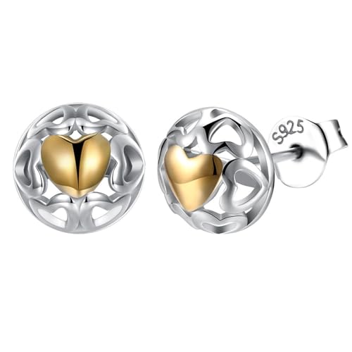 Earrings Set, Ohrringe Sterling Silber Hohles Herz C Ohrringe Damen Silber Gold 925 Silber von Aotiwe