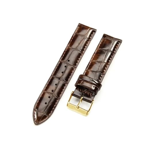 Aqxycvb For Uhr Strap Frauen Qualität Echtes Leder Armband 12/13mm 14mm 17mm 18mm 19mm 20mm 22mm Männer Armband (Color : Crocodile-Brown-GD, Size : 19mm) von Aqxycvb