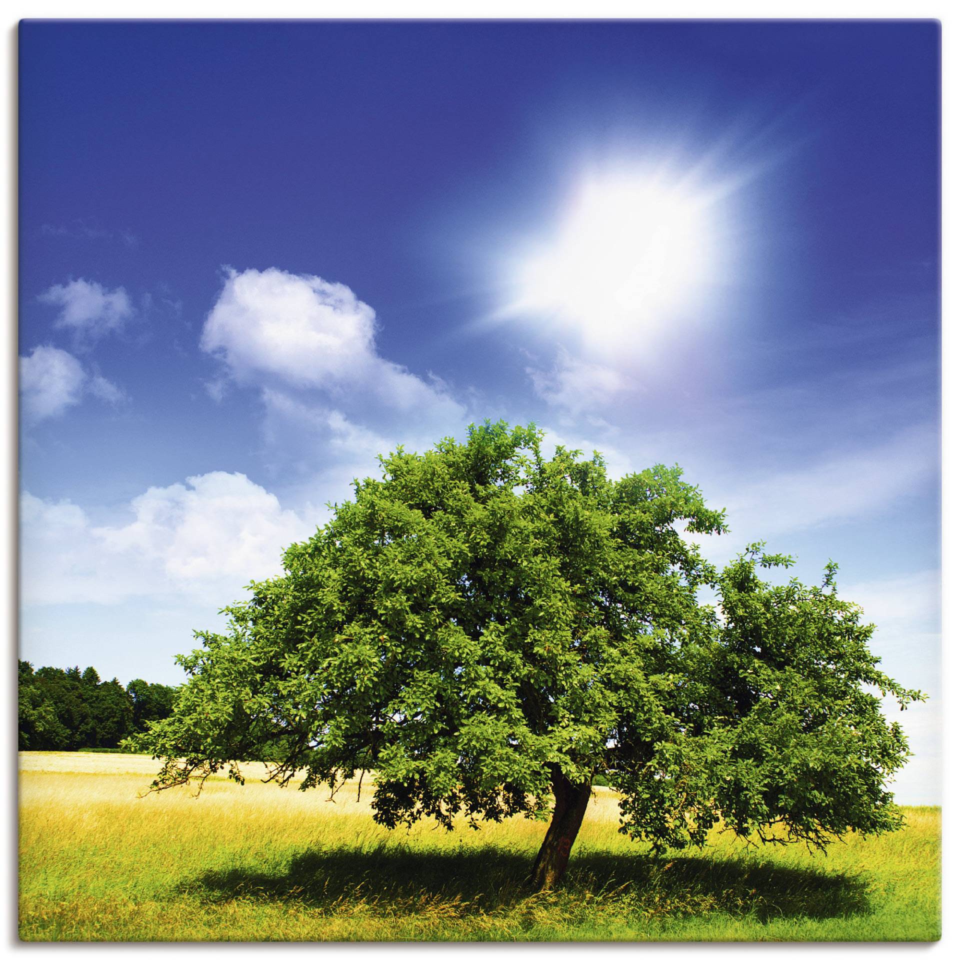 Artland Wandbild "Baum des Lebens", Bäume, (1 St.), als Leinwandbild, Poster in verschied. Größen von Artland