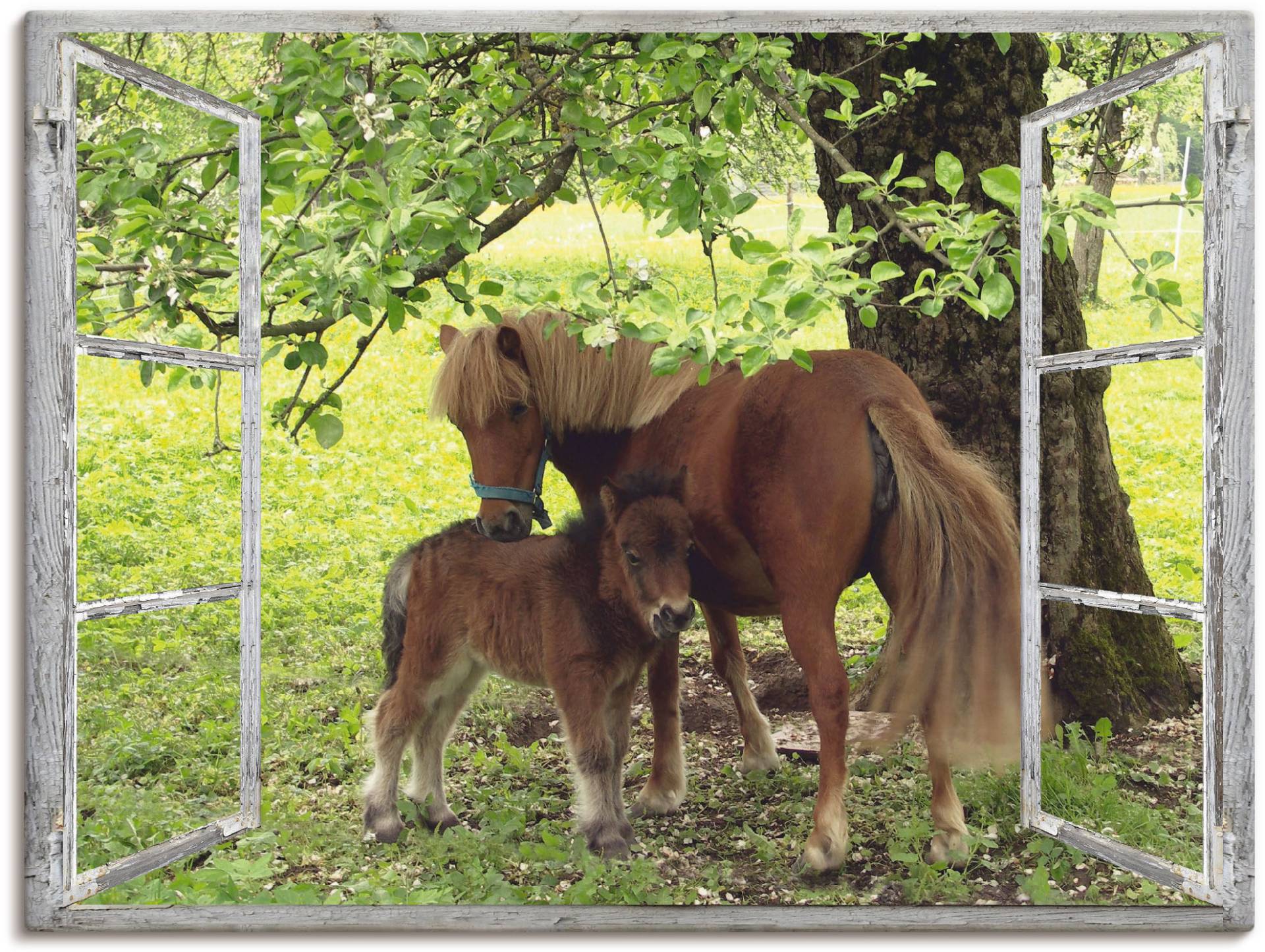 Artland Wandbild "Fensterblick - Pony mit Kind", Haustiere, (1 St.), als Leinwandbild, Poster, Wandaufkleber in verschied. Größen von Artland