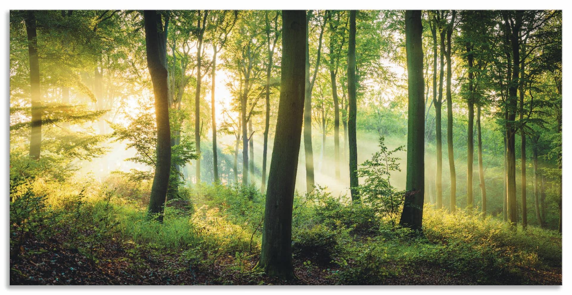 Artland Wandbild "Herbst im Wald II", Waldbilder, (1 St.), als Alubild, Outdoorbild, Leinwandbild, Poster, Wandaufkleber von Artland