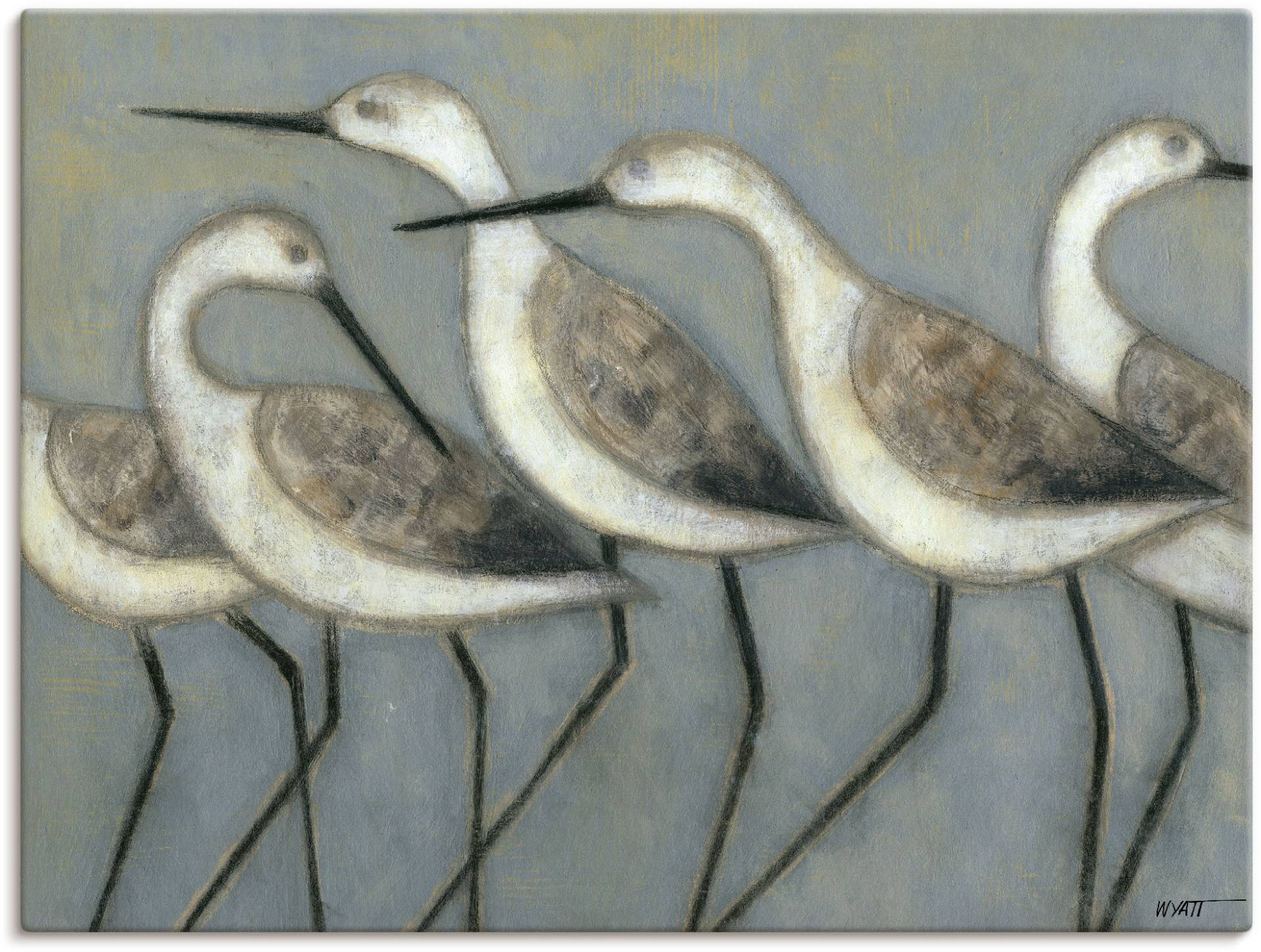 Artland Wandbild "Küstenvögel I", Vögel, (1 St.), als Alubild, Outdoorbild, Leinwandbild, Poster in verschied. Größen von Artland