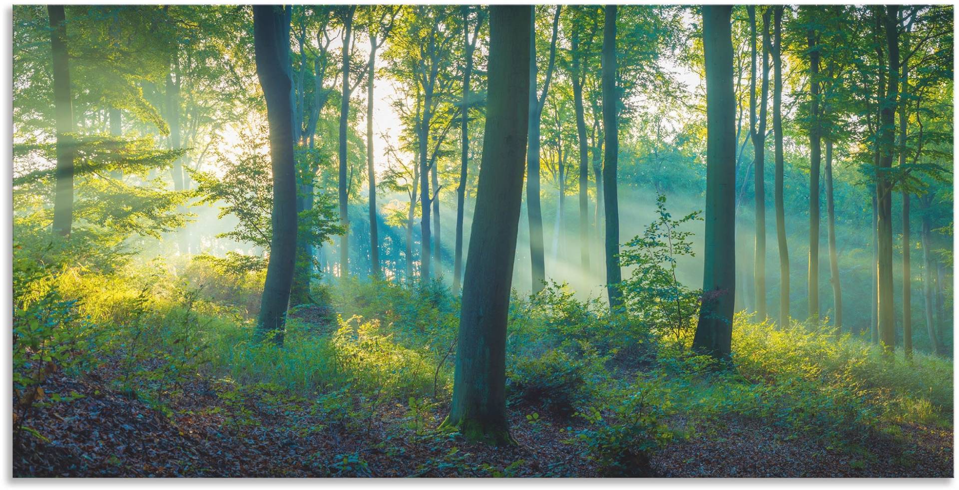 Artland Wandbild "Wald Panorama", Waldbilder, (1 St.), als Alubild, Outdoorbild, Leinwandbild, Poster, Wandaufkleber von Artland