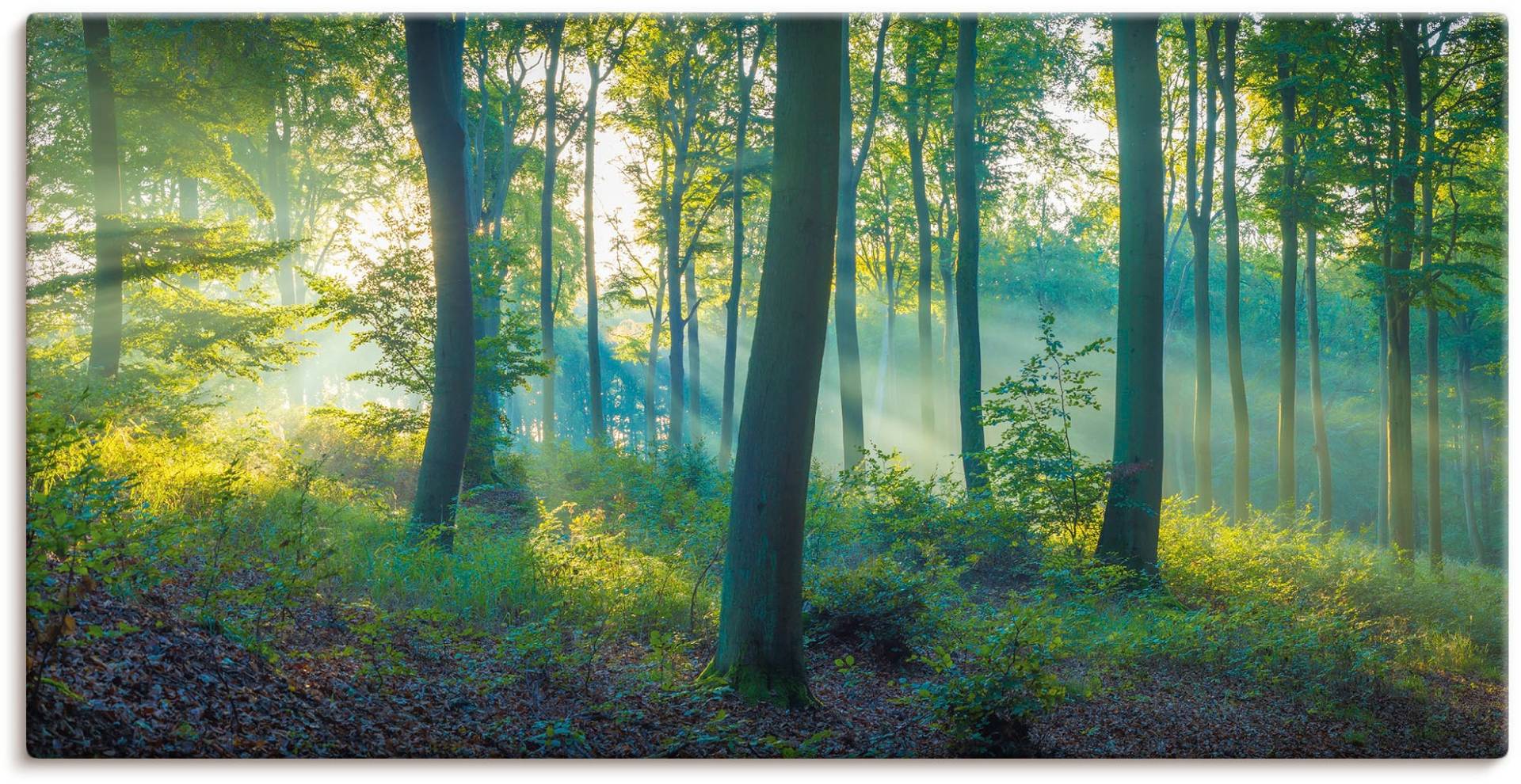 Artland Wandbild "Wald Panorama", Waldbilder, (1 St.), als Alubild, Outdoorbild, Leinwandbild, Poster, Wandaufkleber von Artland