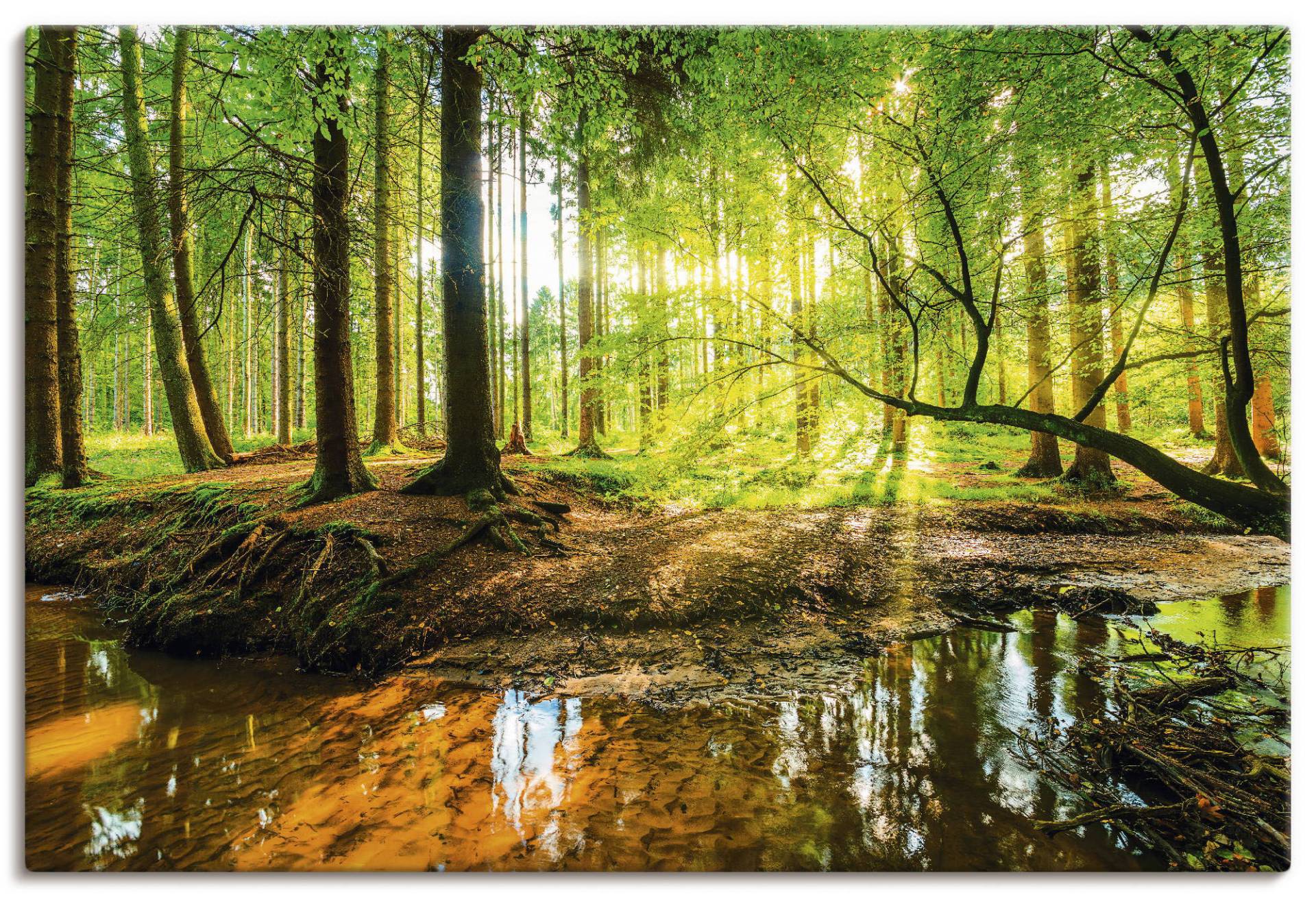 Artland Wandbild "Wald mit Bach", Wald, (1 St.), als Alubild, Outdoorbild, Leinwandbild, Poster, Wandaufkleber von Artland