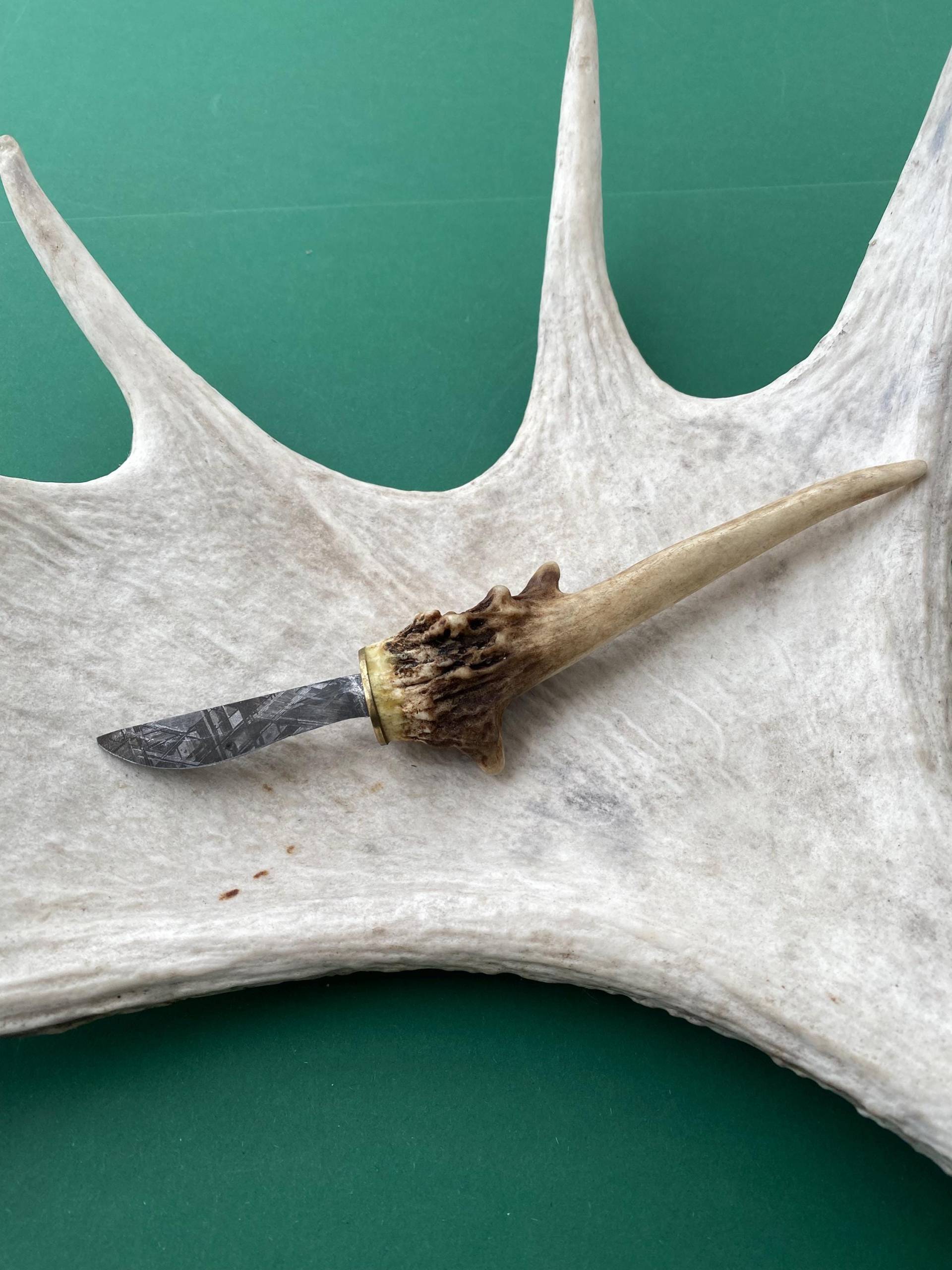 Messer Aus Dem Muonionalusta Meteorit, Handgemacht 6, 5 cm Ein Stück in Der Welt Messer Aus Dem Muonionalusta Meteorit, Handgemacht 6, 5 cm Ein Stück in Der Welt von AsteroidWallArt