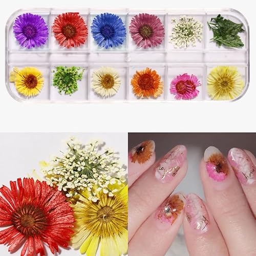 Aublinto DIY Trockenblumen Nagel Dekorationsbox natürliche BlumenNageldekore getrocknetes Blütenblatt Nagel Zubehör für Harz Scrapbooking DIY-Kerze Schmuckanhänger Basteln Kleine Trockenblumen Aublinto DIY Trockenblumen Nagel Dekorationsbox natürliche BlumenNageldekore getrocknetes Blütenblatt Nagel Zubehör für Harz Scrapbooking DIY-Kerze Schmuckanhänger Basteln Kleine Trockenblumen von Aublinto