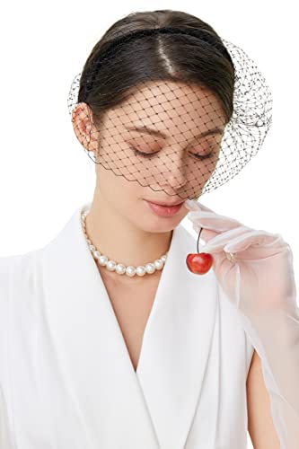 BABEYOND Damen Elegant Fascinator Schleier Haarreif 1920s Stirnband Hochzeit Cocktail Party Mystische Maske Haarreif Damen Halloween Fasching Kostüm Accessoires von BABEYOND