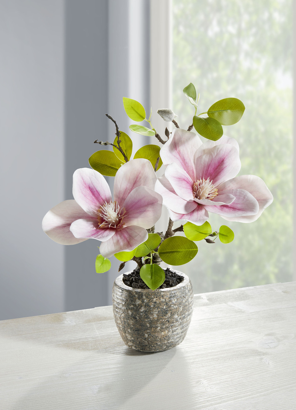 Bezaubernde Magnolie im Topf, Rosa-Grün Bezaubernde Magnolie im Topf, Rosa-Grün von BADER