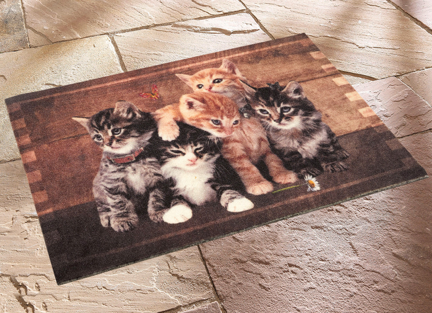 Fußmatte Kätzchen, Bunt von BADER