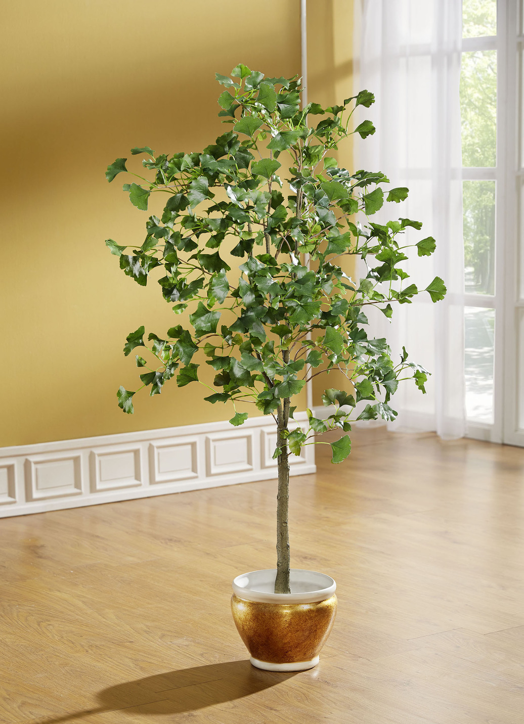 Gingko-Baum im schwarzen Topf, klein, Grün Gingko-Baum im schwarzen Topf, klein, Grün von BADER