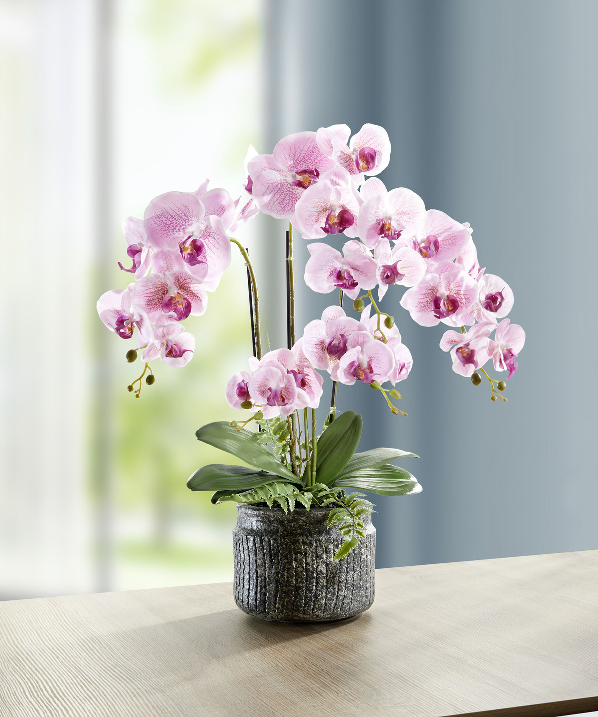 Orchideen-Gesteck im Topf, groß, Rosa Orchideen-Gesteck im Topf, groß, Rosa von BADER