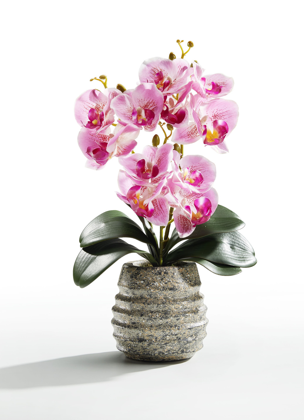 Orchideen-Gesteck im Topf, klein, Rosa Orchideen-Gesteck im Topf, klein, Rosa von BADER