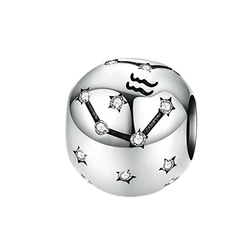 BEEUVIP Aquarius Charm-Anhänger Sternzeichen 925 Sterlingsilber für Chamilia europäische Charm-Armbänder und Halsketten von BEEUVIP