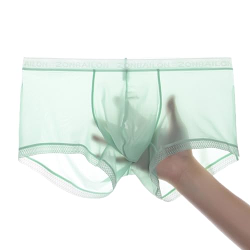 BIATWOWR Herren-Slips Transparent Sexy Micro Mesh Unterwäsche mit Beutelverstärkung und kurzen Beinen mehr Attraktivität von BIATWOWR