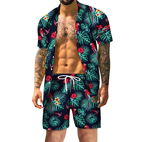 BIBOKAOKE Herren Hemd Shorts Set Hawaii Blumen Bedrucktes Freizeitanzug Mode Floral Stehkragen T-Shirt + Kurze Hose Zweiteiler Sommer Trainingsanzug Jogginganzug Sport Anzug für Coole Männer von BIBOKAOKE