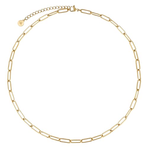 BONNYBIRD® Gliederkette Gold Damen Kette ohne Anhänger Gold Schmuck Gliederkette Edelstahl Kette Damen ohne Anhänger Goldkette Damen Gliederhalskette von BONNYBIRD