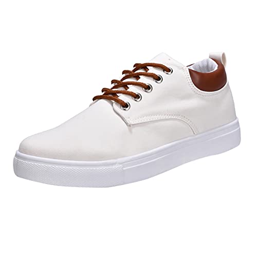 Stilvoll Herren Segeltuchschuhe Mesh Fitnessschuhe Leicht Atmungsaktiv Wanderschuhe Retro Hundert Flut Schuhe FreizeitschuheTrekkingschuhe Absatz flache Traillaufschuhe Straßenlaufschuhe (White, 44) von BSWFA