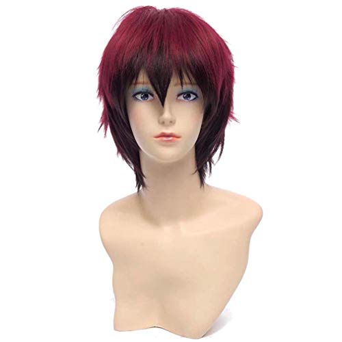 Baisheng Kuroko keine Basuke Kagami Taiga 30cm rot gerade Unisex kurze Frauen synthetische volle Cosplay Kostüm Anime Perücke (30cm-Rotbraun) von Baisheng