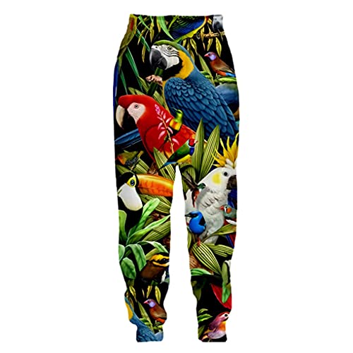 Mode 3D Farbe Papagei Jogger Hosen Herren Damen Frühling Lose Jogginghose Lässige Hip Hop Hose Jogginghose Picture3 M von Baobli