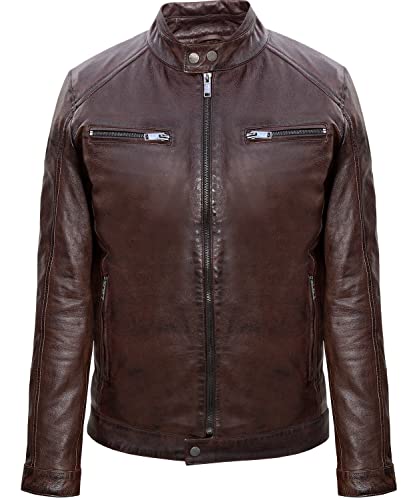 Blueorn LIAM Herren Lederjacke im Bikerstil - Bikerjacke Übergangsjacke Vintage Jacke mit Stehkragen aus Lamm Nappa echt Leder in Braun (as3, alpha, s, regular, regular, Braun, S) von Blueorn