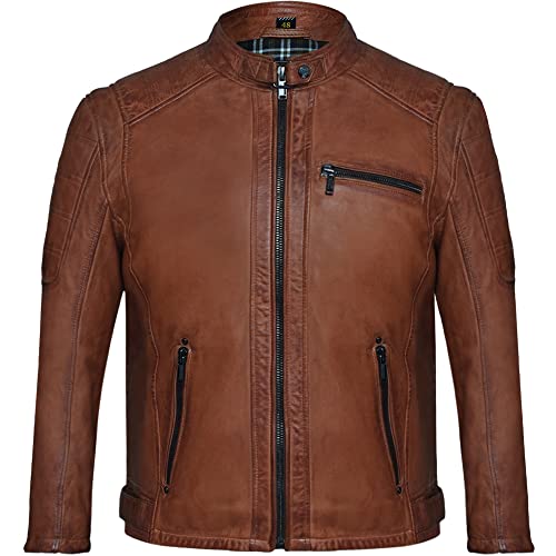 Blueorn LIAM Herren Lederjacke im Bikerstil - Bikerjacke Übergangsjacke Vintage Jacke mit Stehkragen aus Lamm Nappa echt Leder in Braun (as3, alpha, s, regular, regular, Cognac, S) von Blueorn