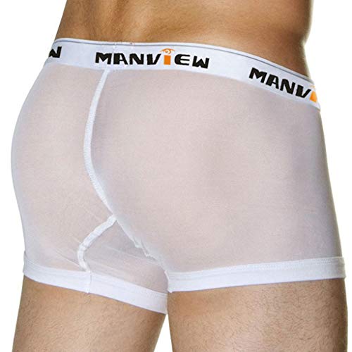 CCOOfhhc Boxershort Herren Atmungsaktive Durchsichtige Netz Retroshorts Sport Boxerbriefs Höschen Low Rise Reizwäsche Freizeit Einfarbig Unterhose Baumwolle Mesh Brief Unterhosen für Männer von CCOOfhhc