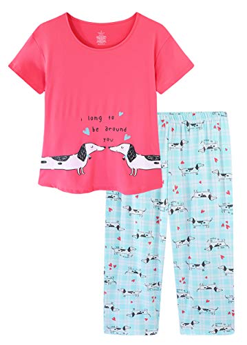 CHUNG Damen Schlafanzug Capri Pyjama Kurzen Ärmeln 3/4 Lange Hose Mit Sternen Animal Print, BlueDog 3XL von CHUNG