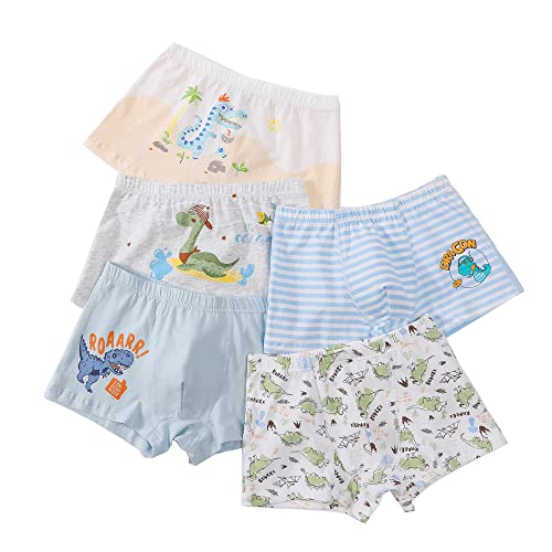 CM-Kid Boxershorts Baby Jungen Unterhosen Kinder Unterwäsche Baumwolle 5er Pack 12-14 Jahre Dinosaurier Bunt Gr.152-158 von CM-Kid