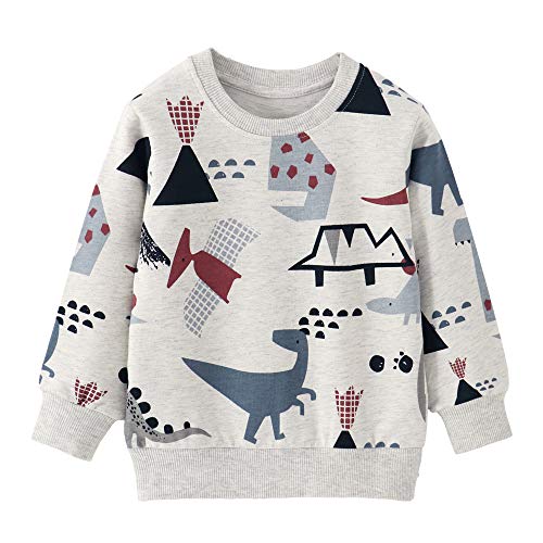 CM-Kid Sweatshirt Jungen Langarm Baumwolle Kinder Pullover Frühling Herbst Winter Bunt Dino Hellgrau 6 7 Jahre 122 von CM-Kid